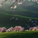 伊犁旅游 缩略图 1