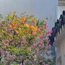 苏州旅游 缩略图 5