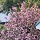 苏州旅游 缩略图 16
