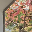苏州旅游 缩略图 4