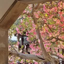 苏州旅游 缩略图 7