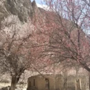 喀什地区旅游 缩略图 4
