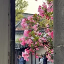 苏州旅游 缩略图 6