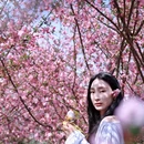 苏州旅游 缩略图 4