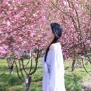 苏州旅游 缩略图 6