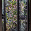 苏州旅游 缩略图 3