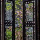 苏州旅游 缩略图 4