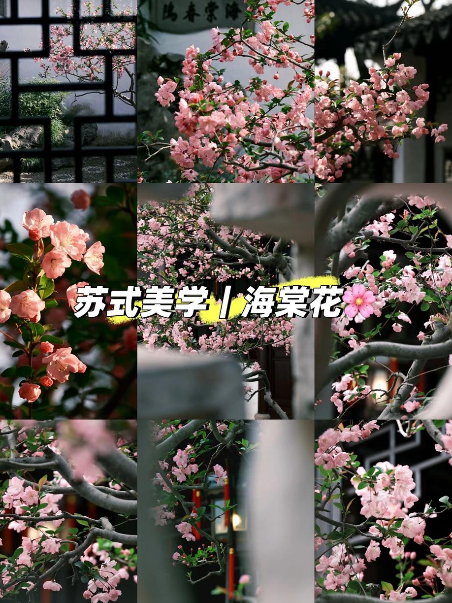 苏州旅游