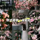 苏州旅游 缩略图 1