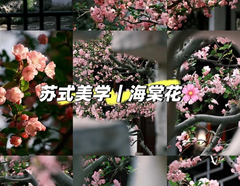 苏州旅游 1