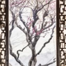苏州旅游 缩略图 16
