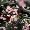 苏州旅游 缩略图 7
