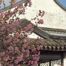 苏州旅游 缩略图 3