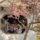 苏州旅游 缩略图 4