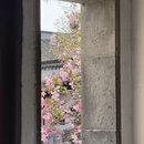 苏州旅游 缩略图 8