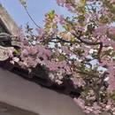 苏州旅游 缩略图 9