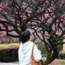 福州旅游 缩略图 18