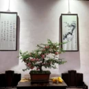 苏州旅游 缩略图 14