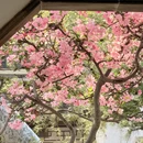 苏州旅游 缩略图 10