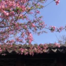 北京旅游 缩略图 8