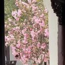苏州旅游 缩略图 11