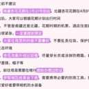 伊犁旅游 缩略图 8