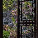 苏州旅游 缩略图 6