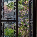 苏州旅游 缩略图 5