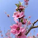 天津旅游 缩略图 7