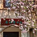 济南旅游 缩略图 3