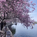 南京旅游 缩略图 1