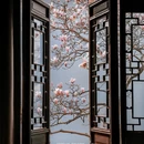 苏州旅游 缩略图 3