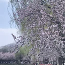 南京旅游 缩略图 3