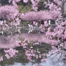 南京旅游 缩略图 4
