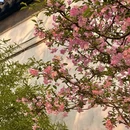 苏州旅游 缩略图 5