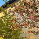 苏州旅游 缩略图 3