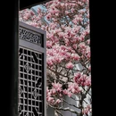 苏州旅游 缩略图 5