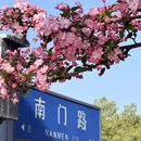 苏州旅游 缩略图 6