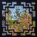 苏州旅游 缩略图 10