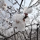 天津旅游 缩略图 9