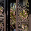 苏州旅游 缩略图 9