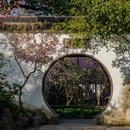 苏州旅游 缩略图 13