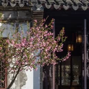 苏州旅游 缩略图 14