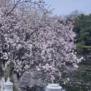 南京旅游 缩略图 6