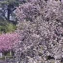 南京旅游 缩略图 7