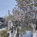 南京旅游 缩略图 8