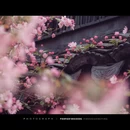 南京旅游 缩略图 15
