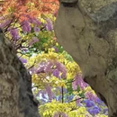苏州旅游 缩略图 7