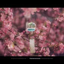 南京旅游 缩略图 12