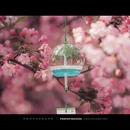 南京旅游 缩略图 17